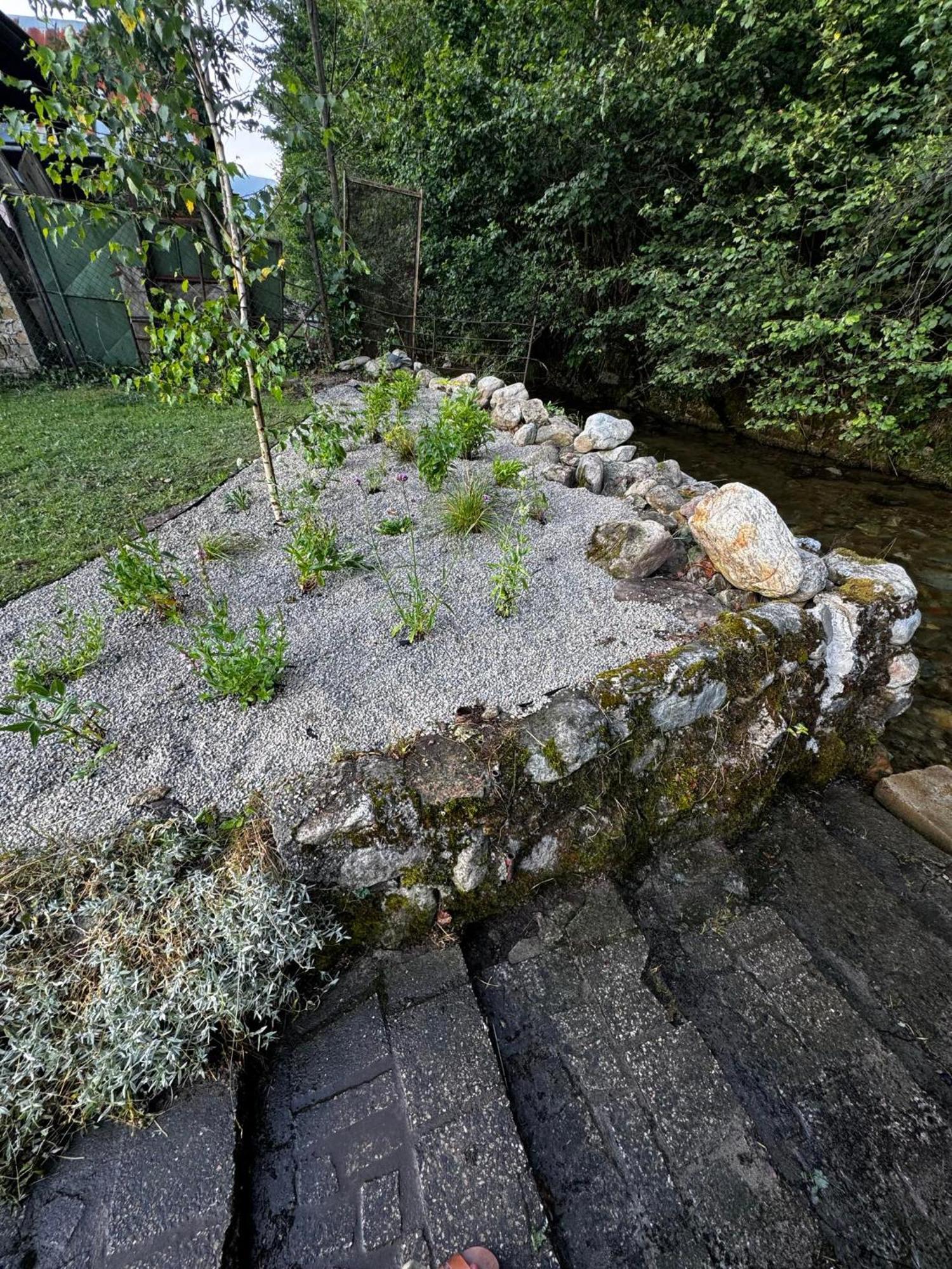 Apartmany Elli Mýto pod Ďumbierom Dış mekan fotoğraf